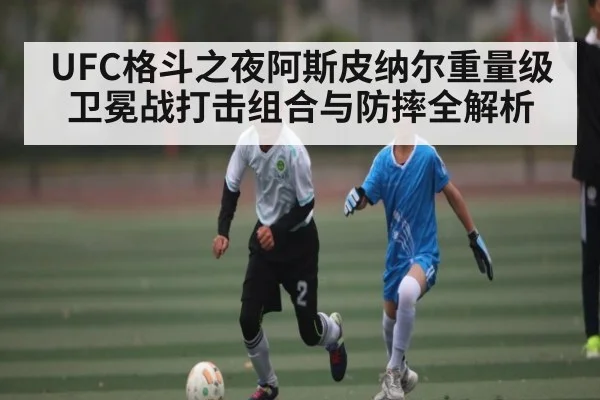 UFC格斗之夜阿斯皮纳尔重量级卫冕战打击组合与防摔全解析（c7c7.app）