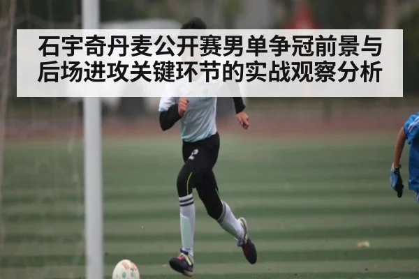 石宇奇丹麦公开赛男单争冠前景与后场进攻关键环节的实战观察分析 - c7